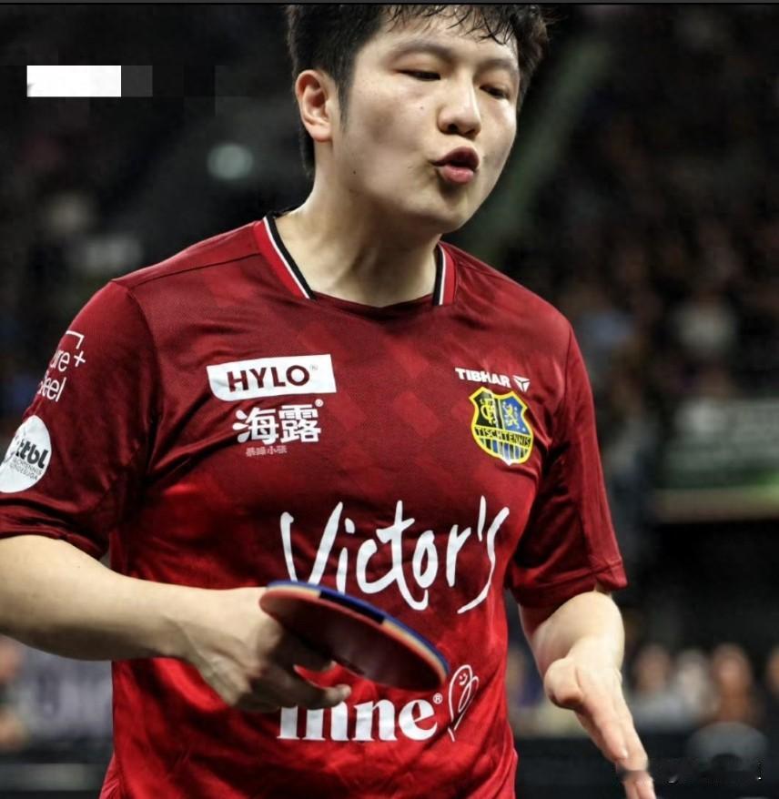 樊振东真是个战神。这次在德国杯，一晚上连打四场，场场碾压，3-0横扫奥恰洛夫