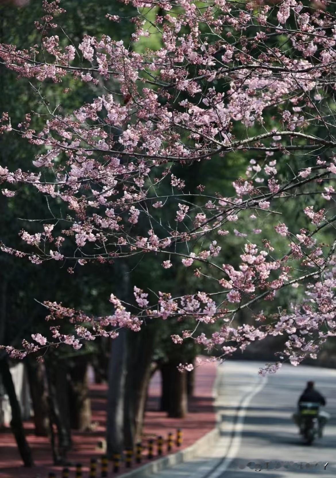 ‼️‼️2025年新一线城市排行榜，你的城市上榜了嘛？1⃣️成都2⃣️杭州