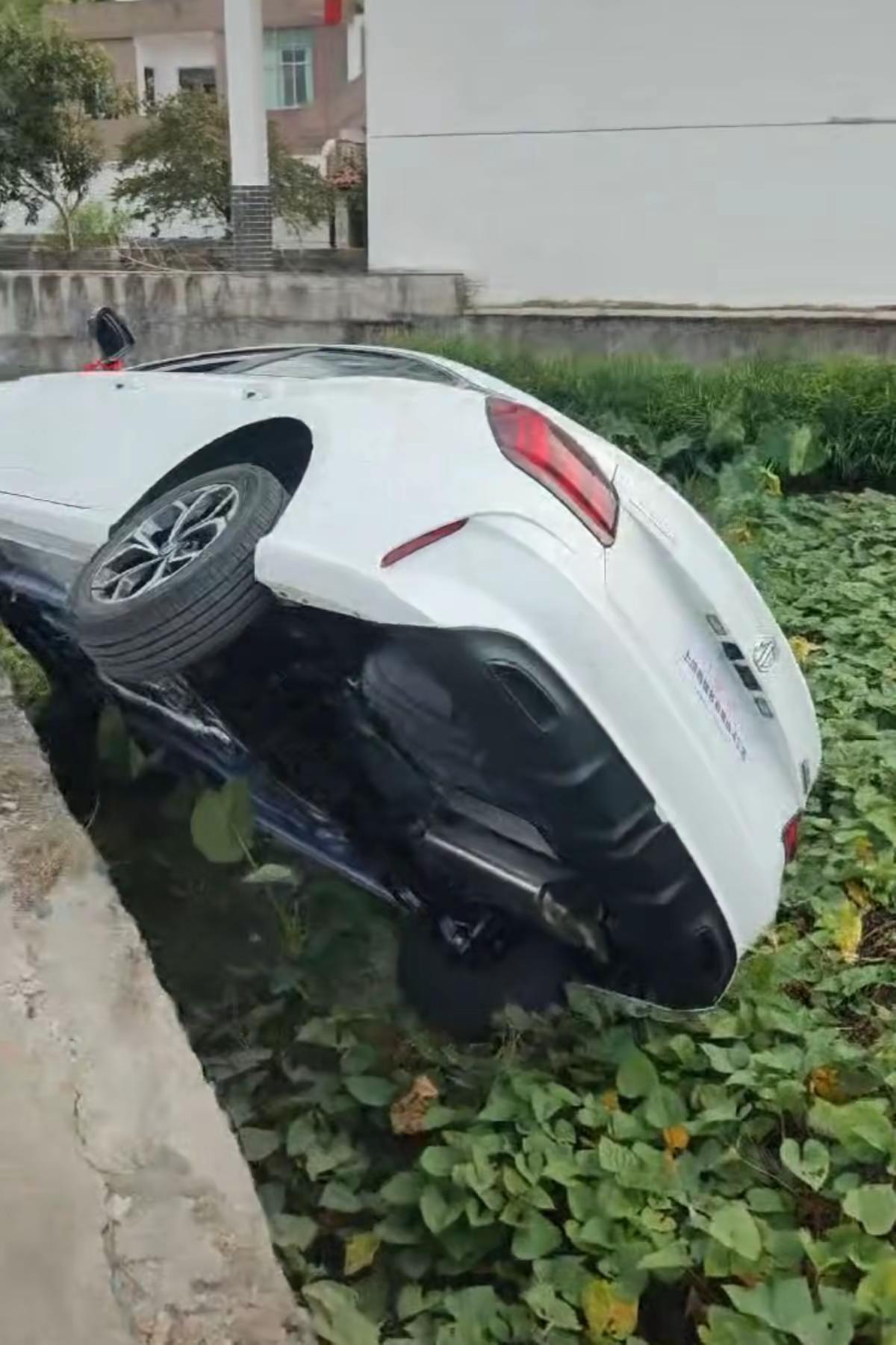 今天刚买回来的