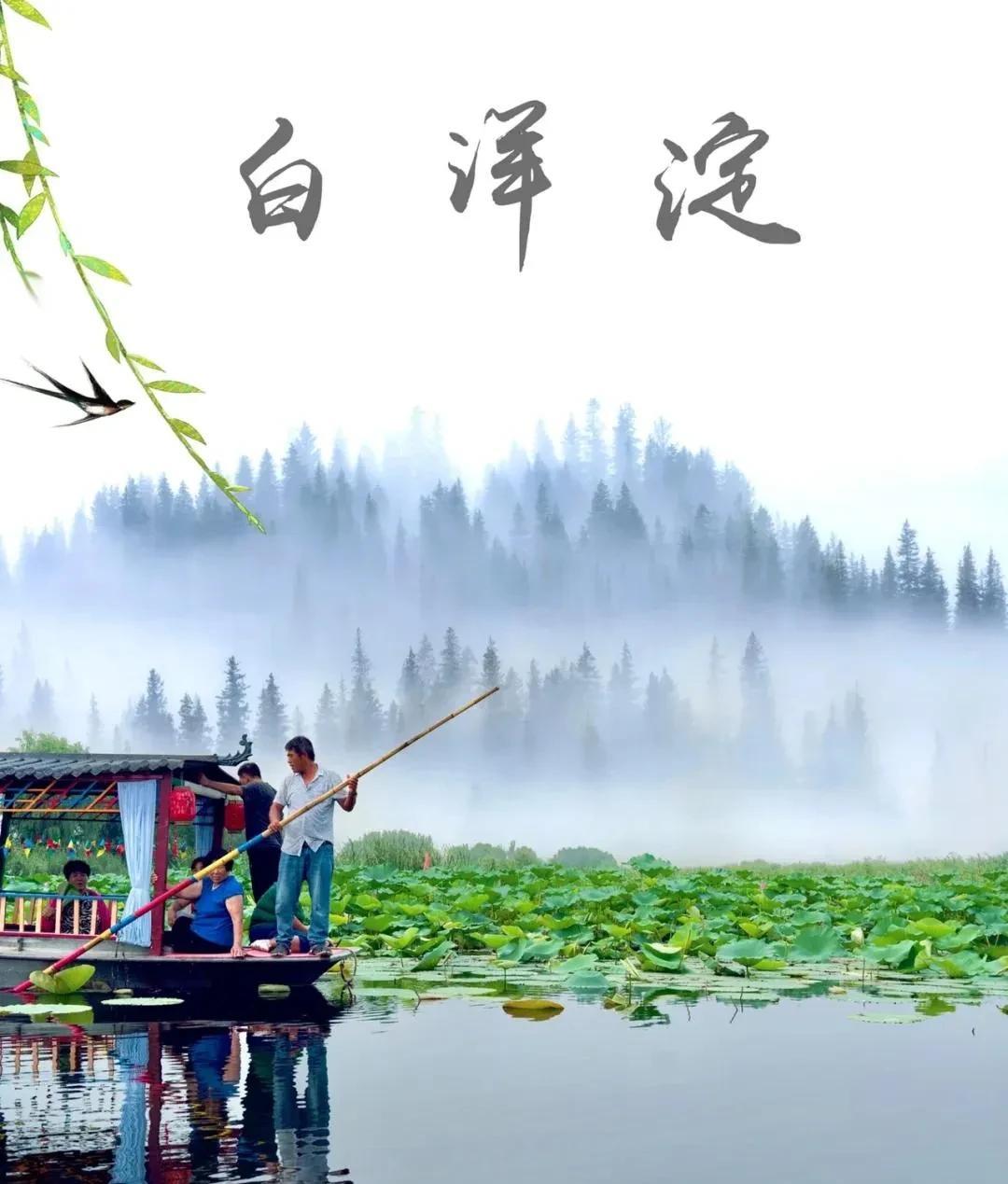 白洋淀扎轮胎的老人终于被刑拘了！白洋淀最近这事儿闹得可太大了。7月12号游客汽