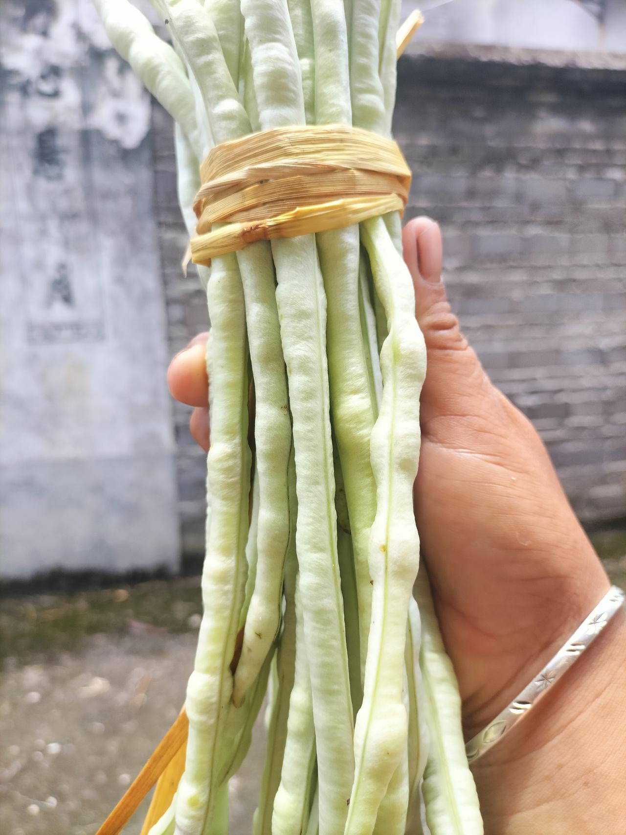 我不用种豆角了，看我手上这把豆角才一元钱，还是别人强塞给我的，说实在卖不出去了，