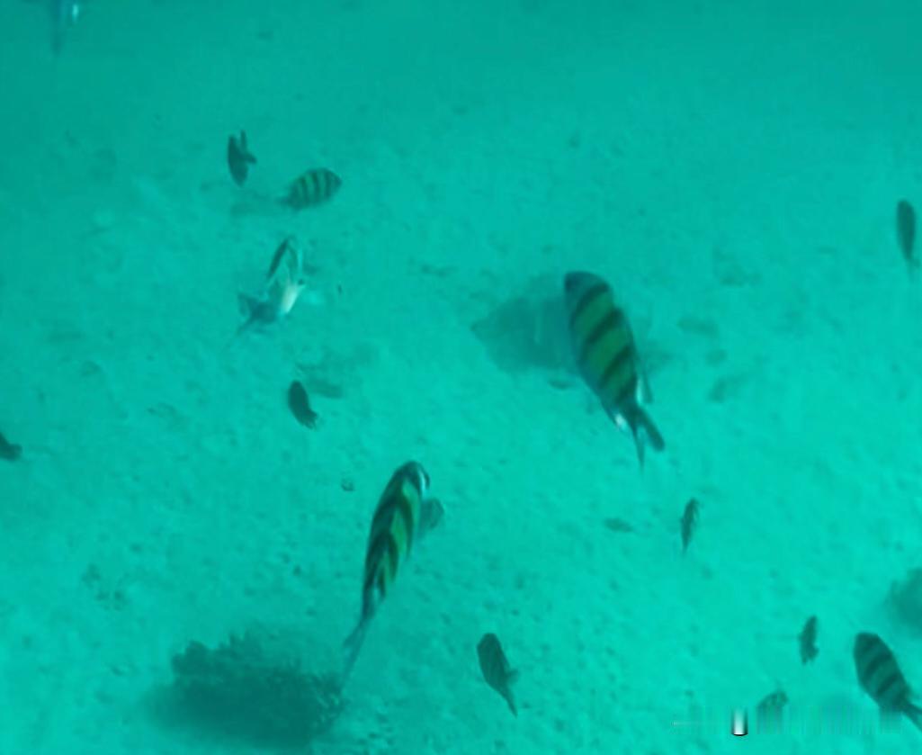 🇹🇭泰国旅行18条禁忌｜踩中直接罚款宝子们！泰国好玩但这些雷千万别踩！