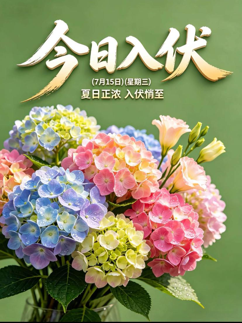 🌺2026./7月15日，伏天存恬淡，平和度盛夏🌺🌿☀️晓光微亮入伏天