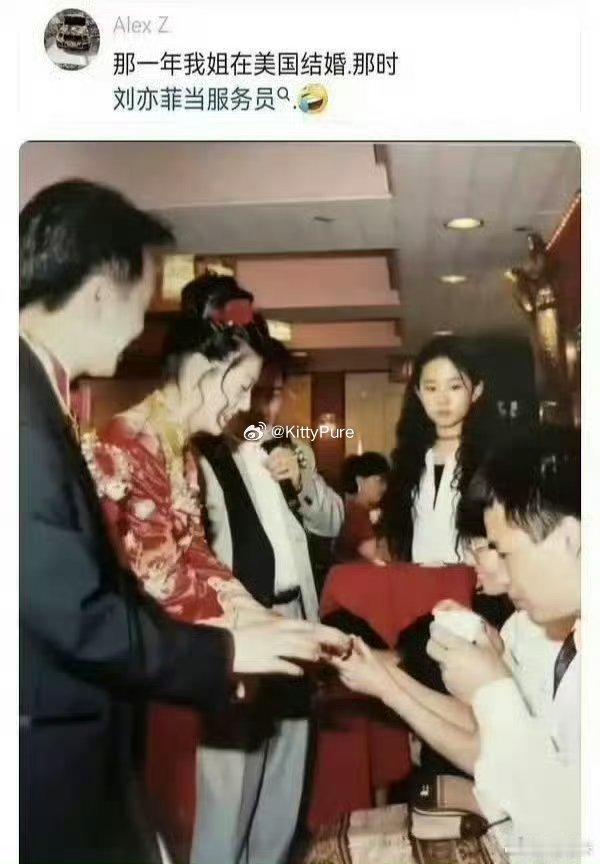 刘亦菲居然在美国当过服务员