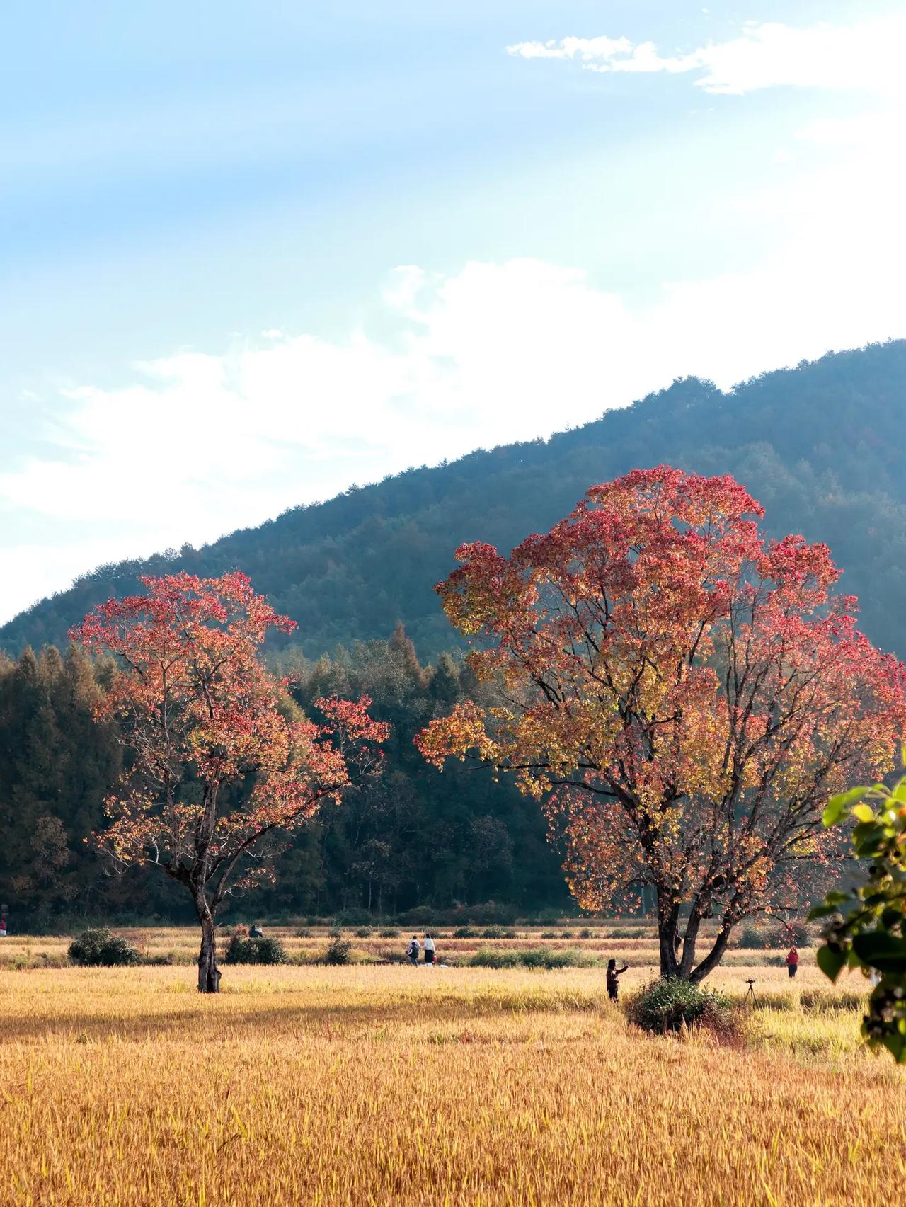 有很多的家长搞不明白，为什么现在的孩子都不爱学习？我是能够理解的，因为你天天学习
