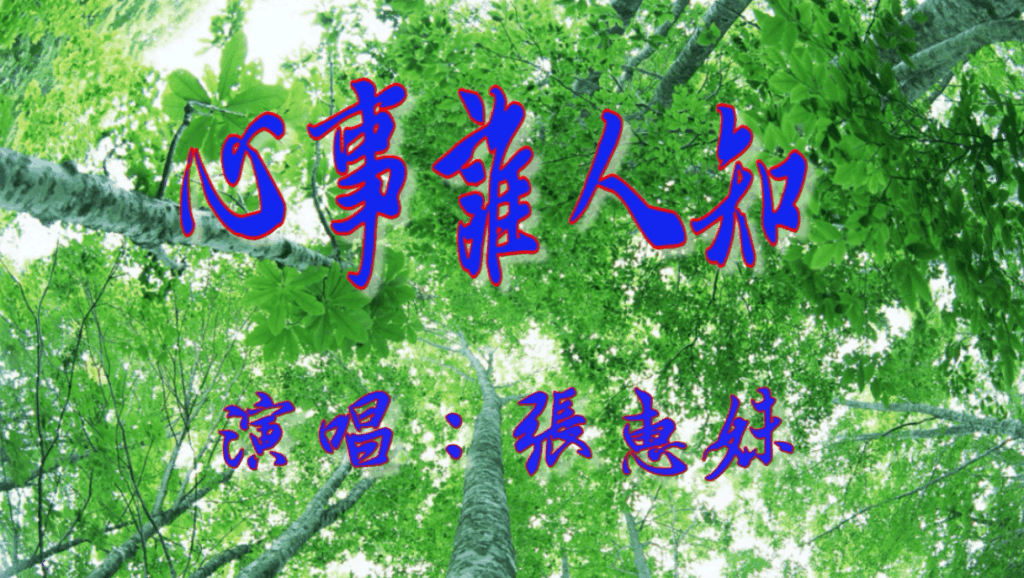 动态二胡曲心事谁人知曲谱_心事谁人知图片