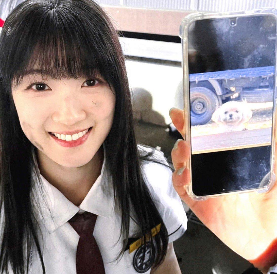 公主👸金惠允眼睛亮晶晶的小狗​​​