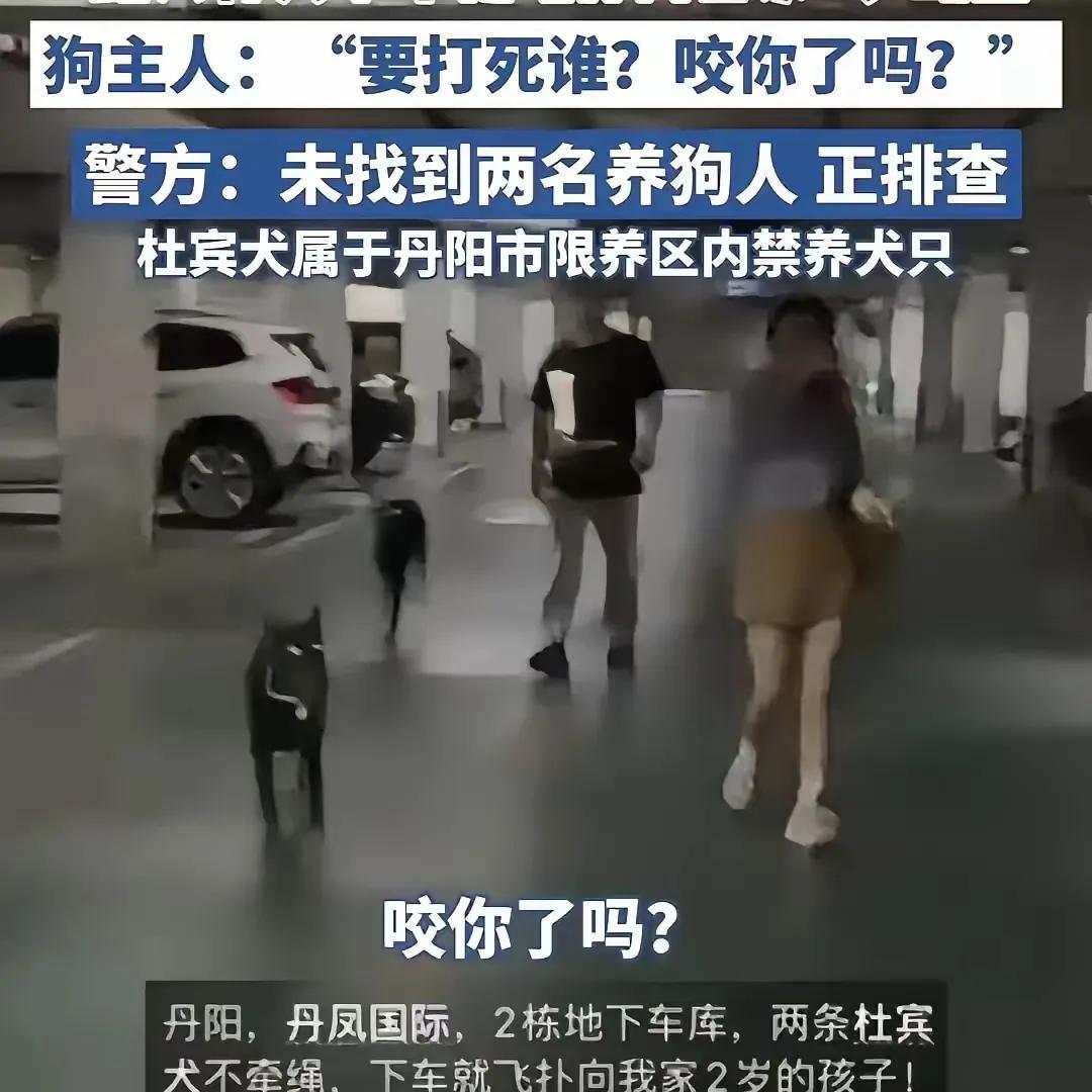 论舆情的重要性。这个嚣张跋扈的狗主人之所以落到人人喊打的地步全仗网络舆情相助。