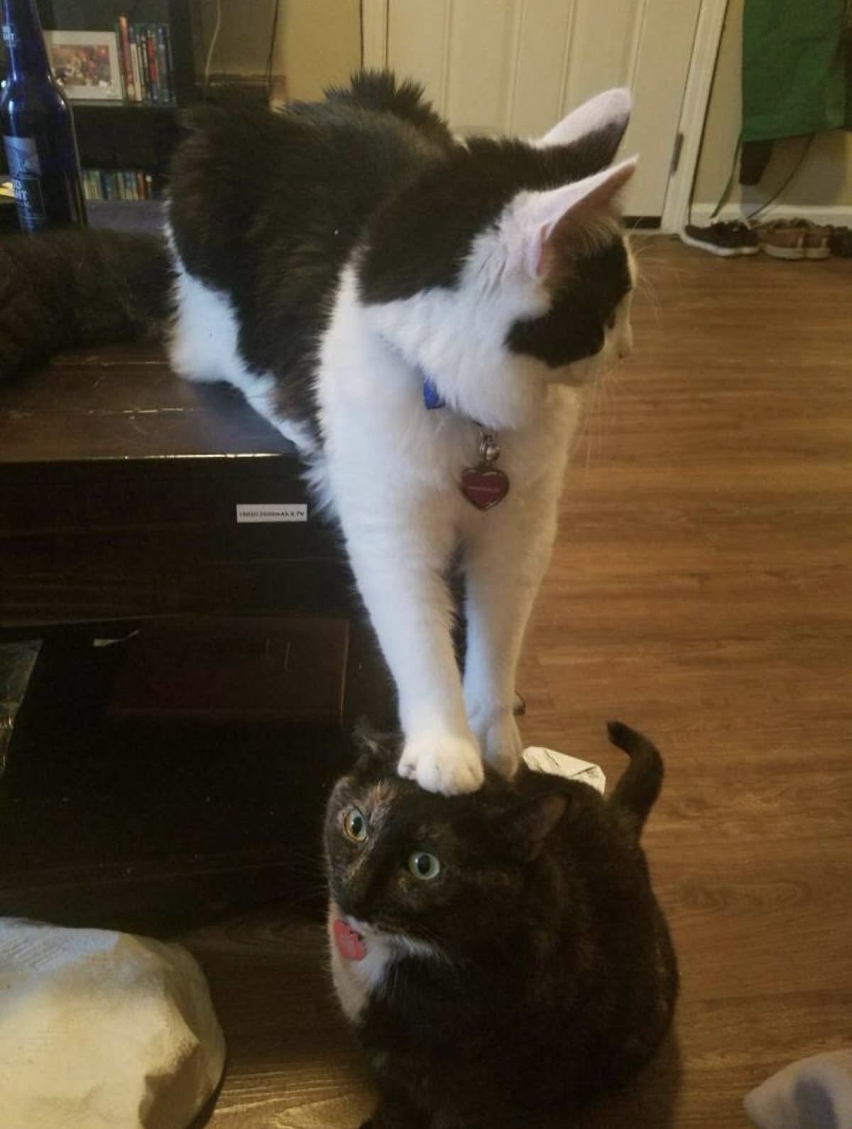 传功中​​​