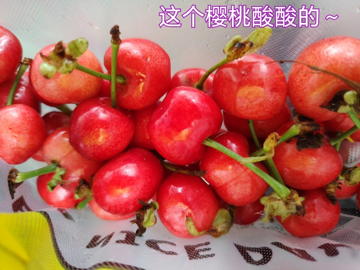 张小小的平日废话又来吃江西小炒了