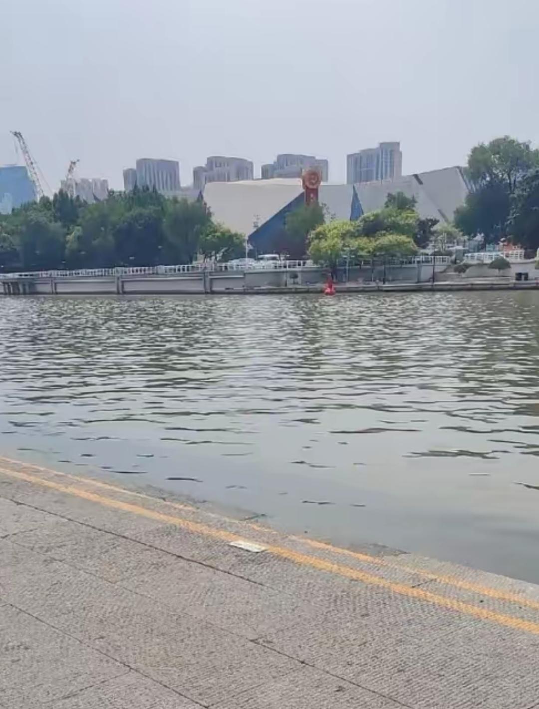 终于找到原因了。“天津之眼”外地母子溺水的地方，恰好是码头边上的一处亲水平台，