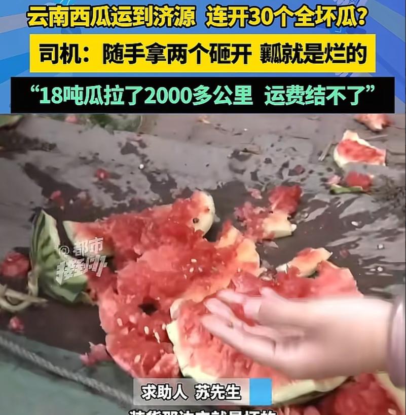 男子从云南运了18吨西瓜到济源，可收货方一检查，连开了30个瓜，外面都是好好的，