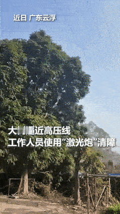 彻底解释不清了！广东，电力局工作人员用激光炮清障，碗口粗的树枝竟一照秒断！网友看