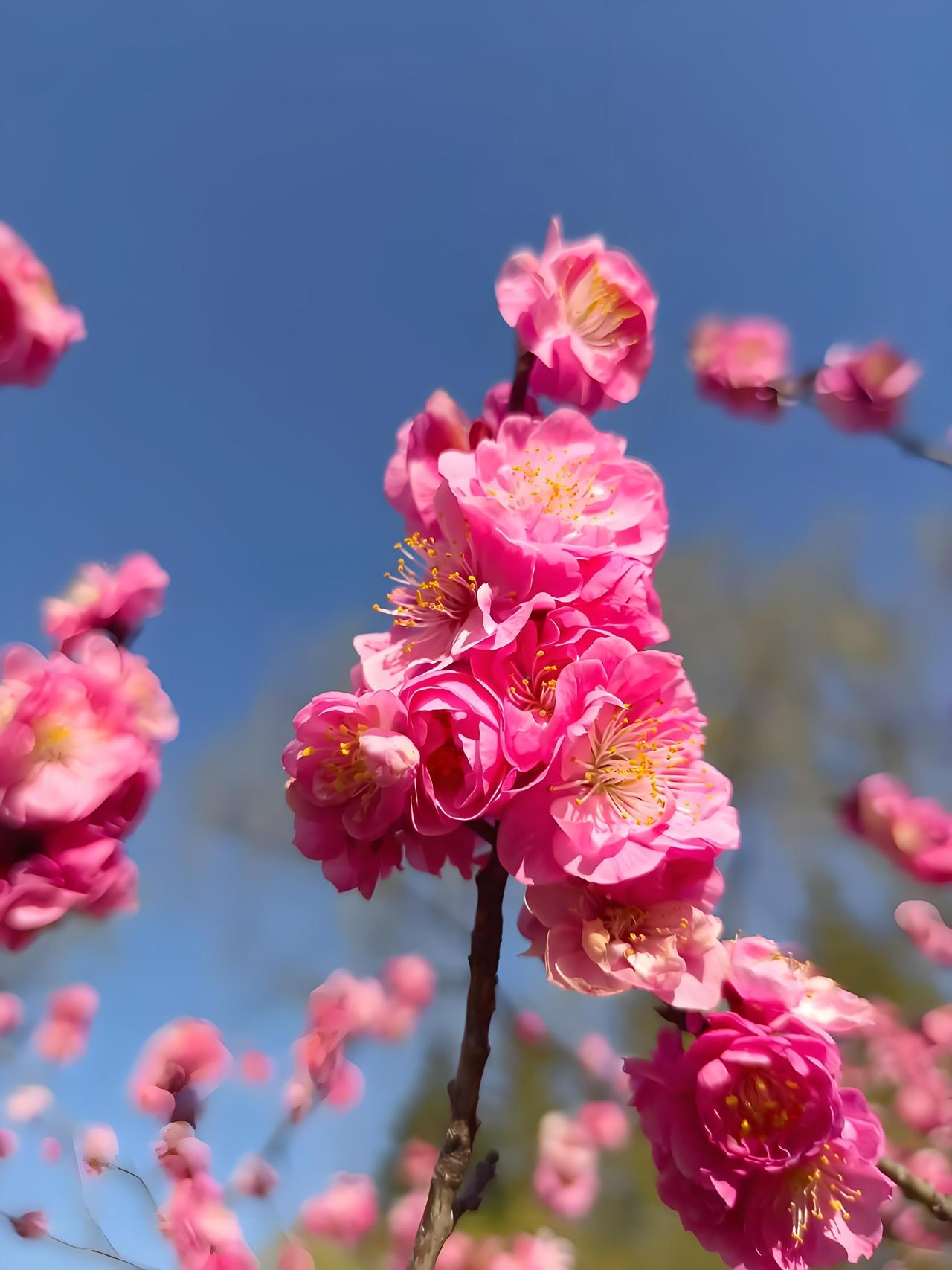 人性铁律：1，男人爱过的女人越多，他就越不在乎你这个女人。2.女人爱过的男