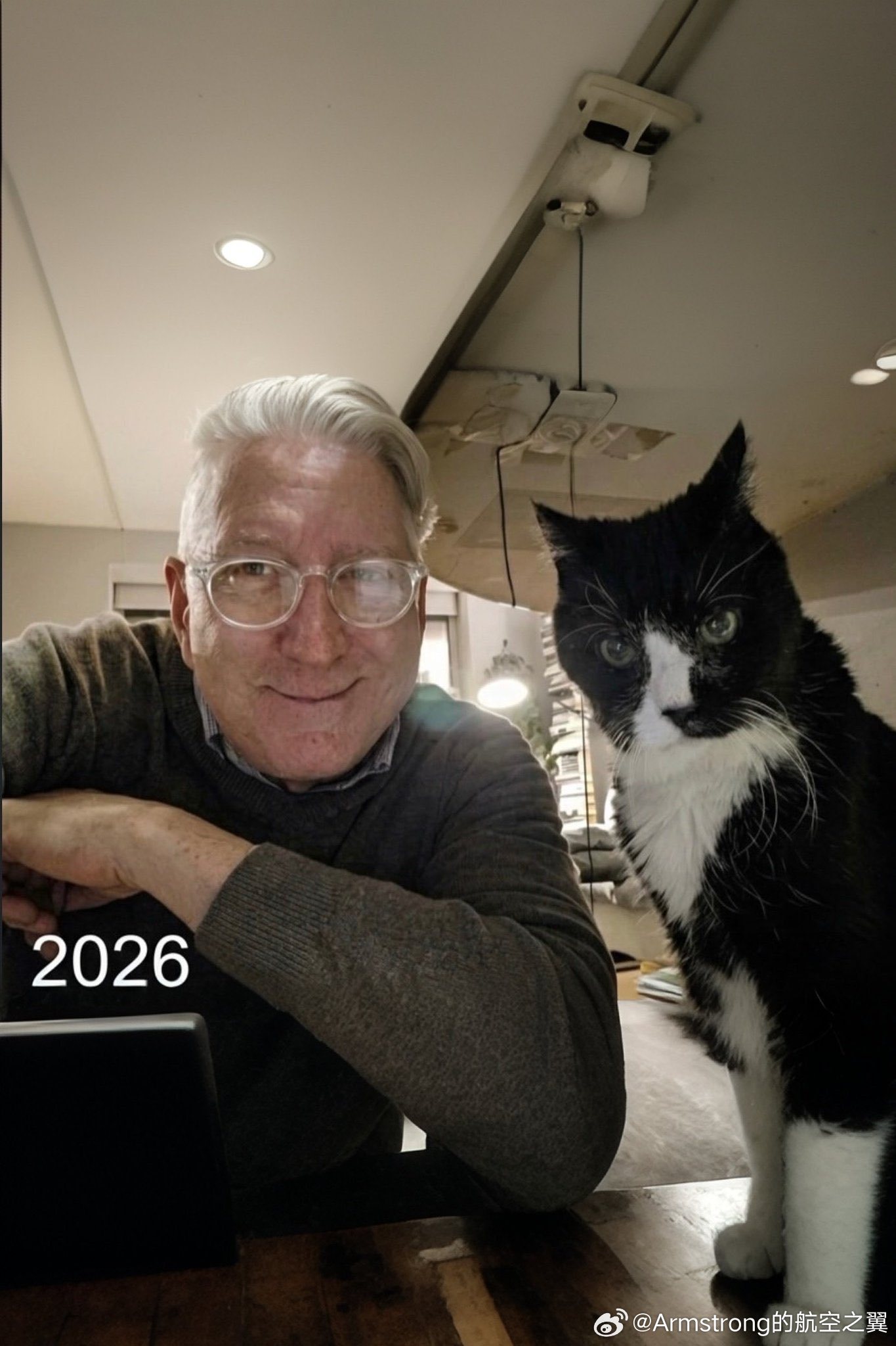 一位主人庆祝他的猫20岁生日，这是一个不常见的年龄，相当于人类95岁以上。