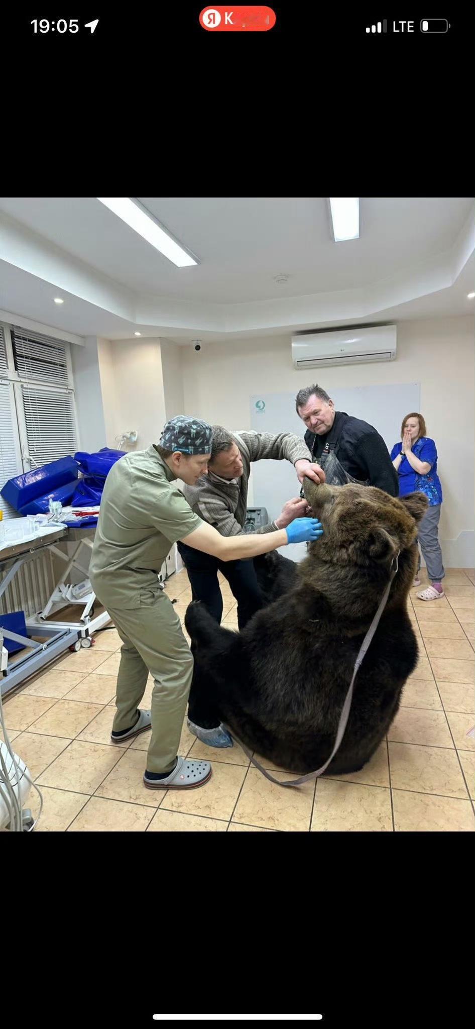 战斗民族果然不一般！