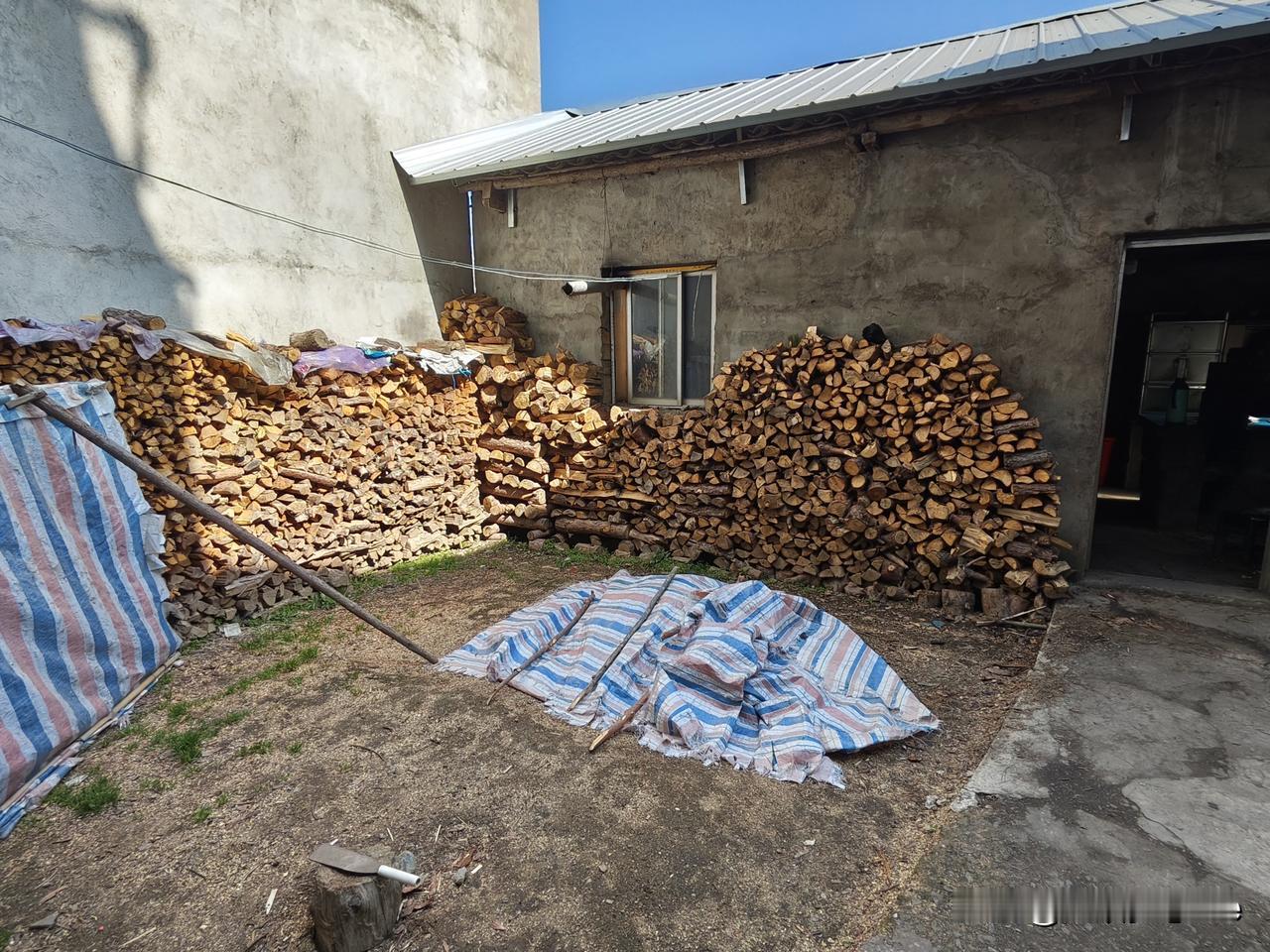 这几天很多网友回家后都在网上晒爸爸，公公，爷爷……这些老人囤的劈柴，充满着一股浓