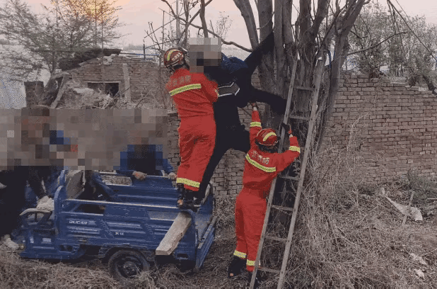 北京顺义区一男子深夜摘香椿，倒挂树干7小时，险些出了大事。春日香椿鲜嫩可口，