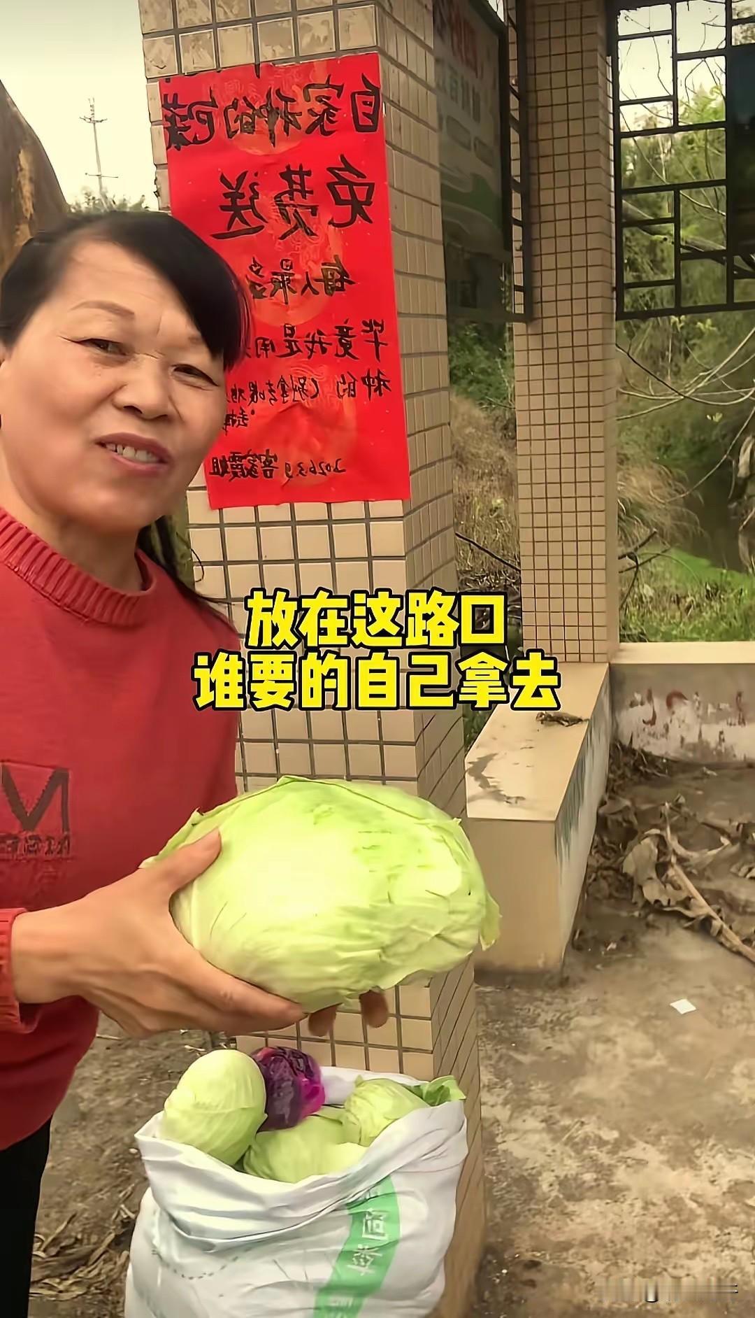 太善良了！广东河源，一大姐将自家种的包菜堆在了马路边，本以为她要摆摊售卖，结果大