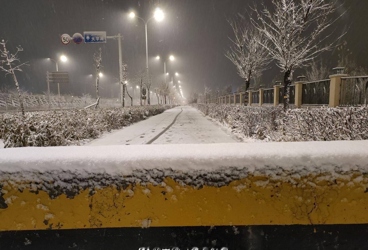 乌鲁木齐正在暴雪中，地面已有厚厚积雪。预计这次乌鲁木齐总降雪量可达大暴雪量级，明