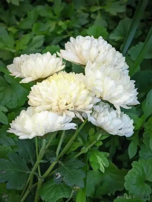 前几天，接到一位老朋友的电话，他说了一个令我十分震惊的消息。我们一位共同的熟人，