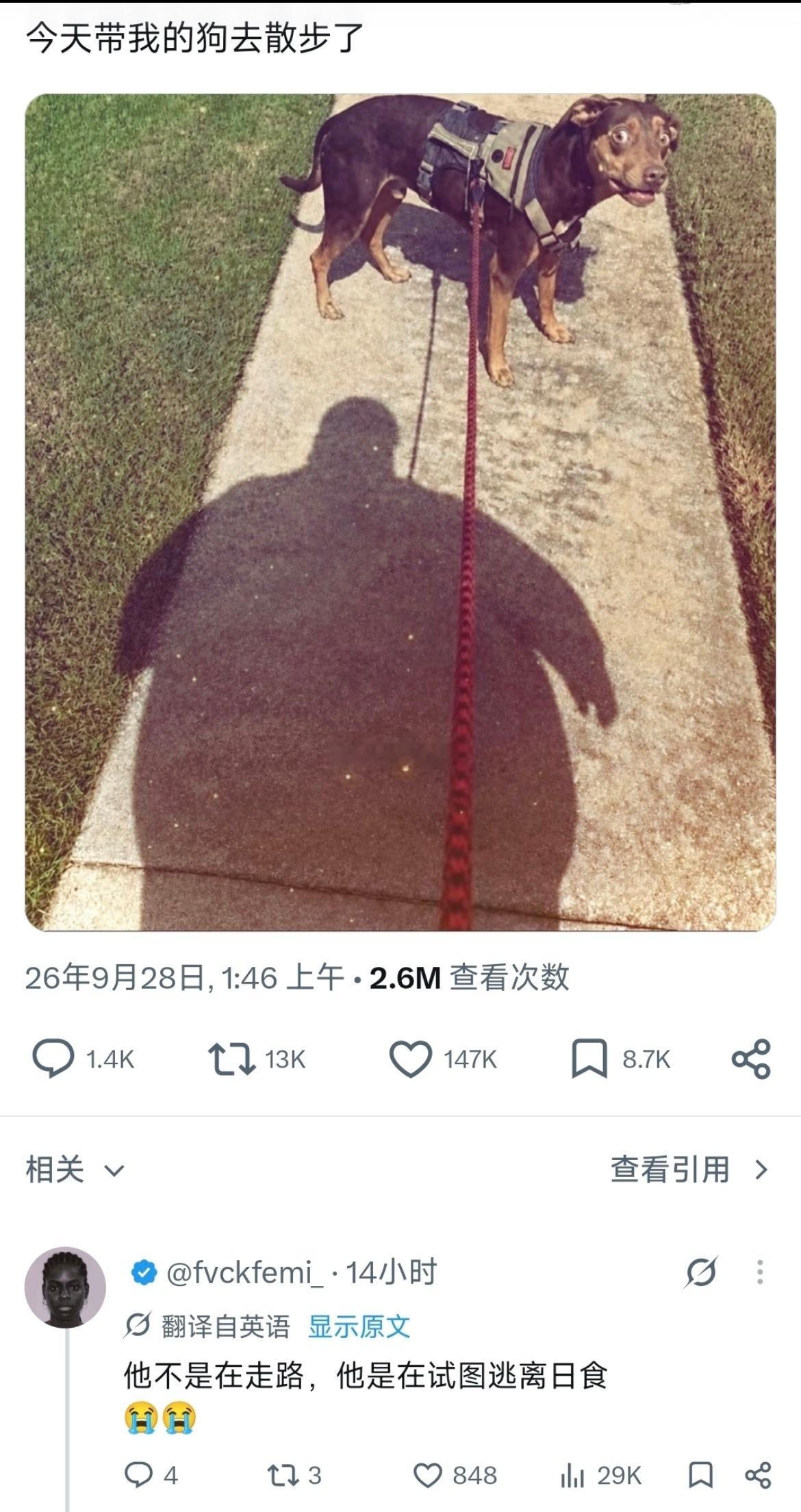 狗的表情实在太好笑了[笑着哭]​​​