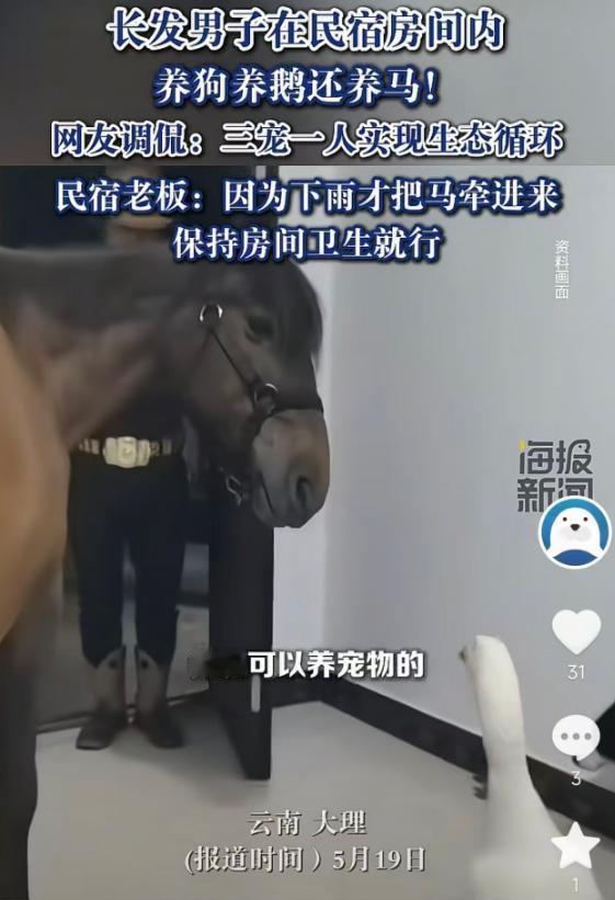 5月19日报道，云南大理一长发男子租住民宿，和老板确认可养宠物后，竟把狗、鹅还有