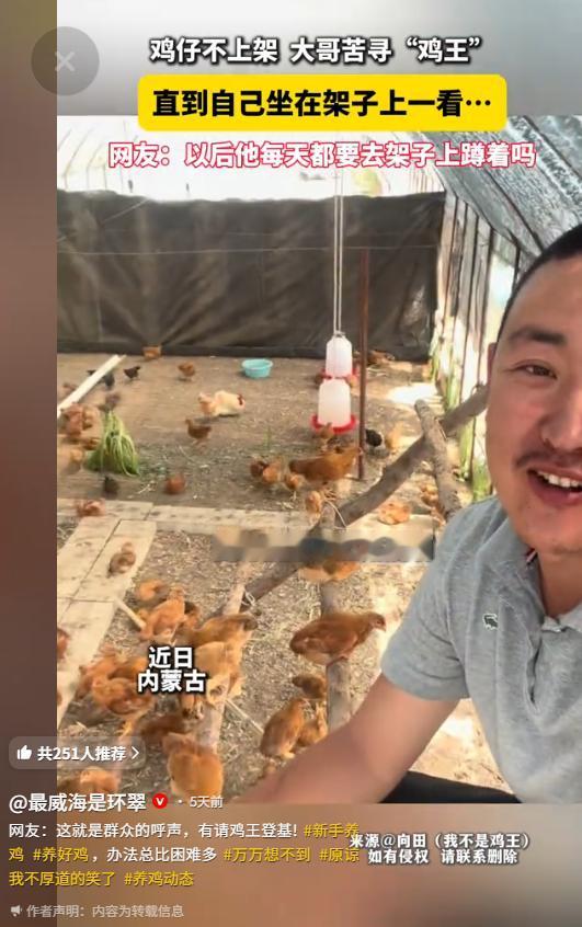 “鸡中霸王！”6月1日最威海是环翠报道，内蒙古，一位大哥家养了一群鸡，天黑之后死