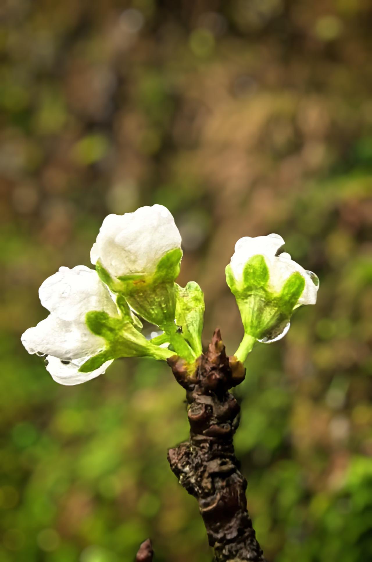 觉醒后，一定要明白：只有觉醒的人多了，这世间，才会慢慢变美好！就好比