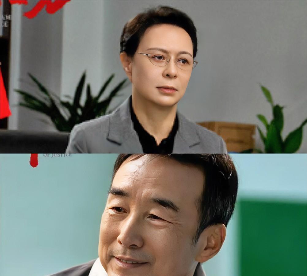 《以法之名》，5个疑问：1、孙飞是东平市开发区分局副局长，他们分局没有正局长吗