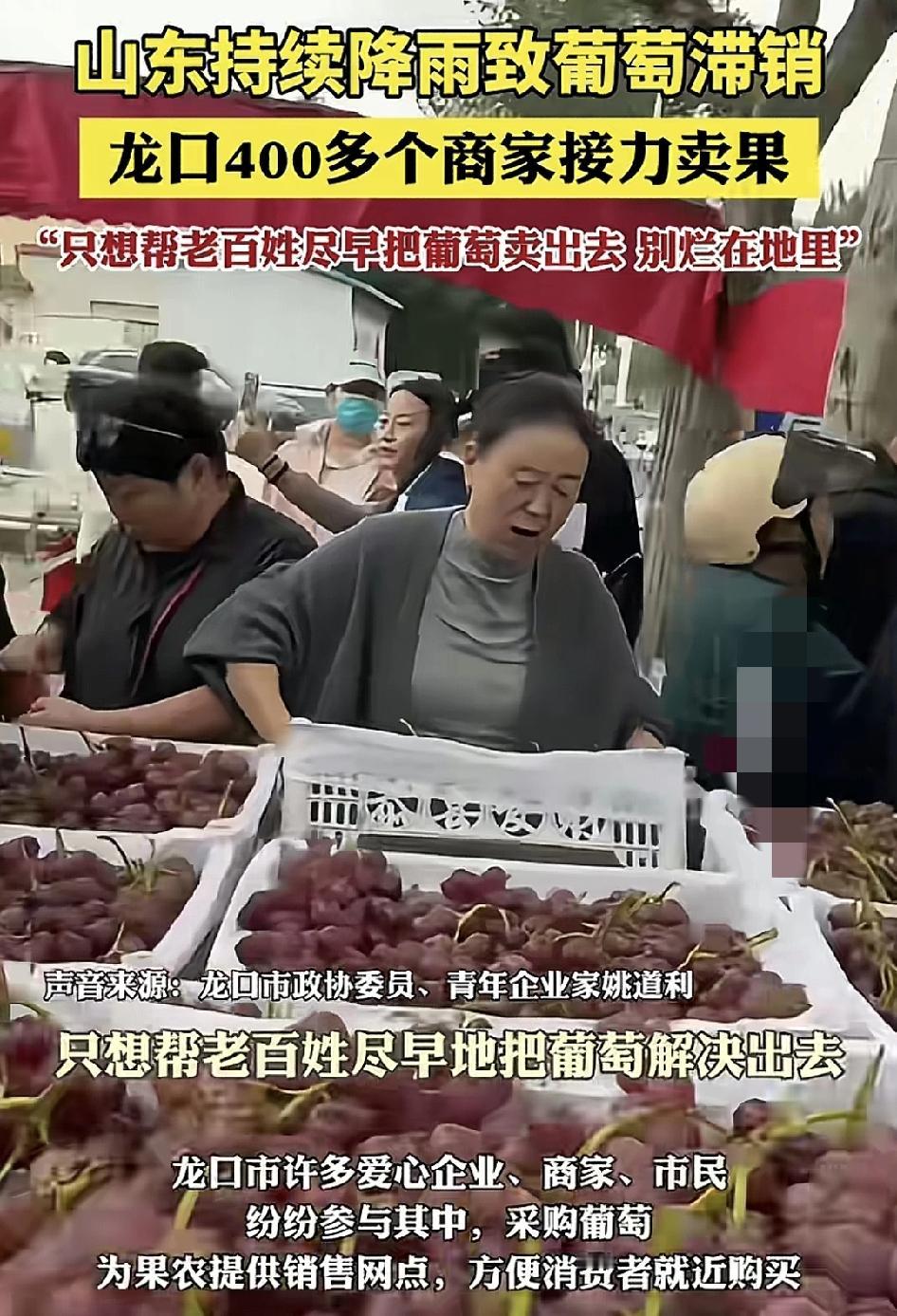 山东烟台因为连日来的阴雨导致很多果农的葡萄滞销，当地的青年企业家带头直播，帮助农