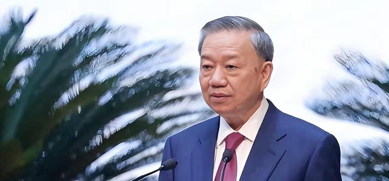 史上首次！越南一口气把外交部长、国防部长、公安部长的椅子全摆上谈判桌，主动请中国