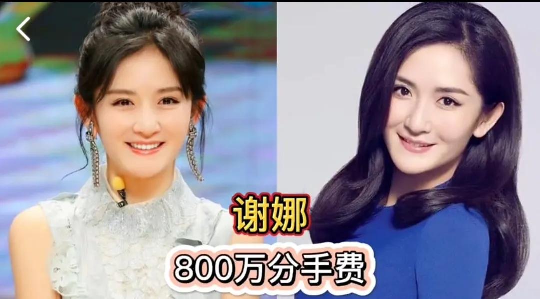 靠巨额分手费致富的女明星，谢娜800万打底，车晓才叫人生赢家第1位:谢娜第