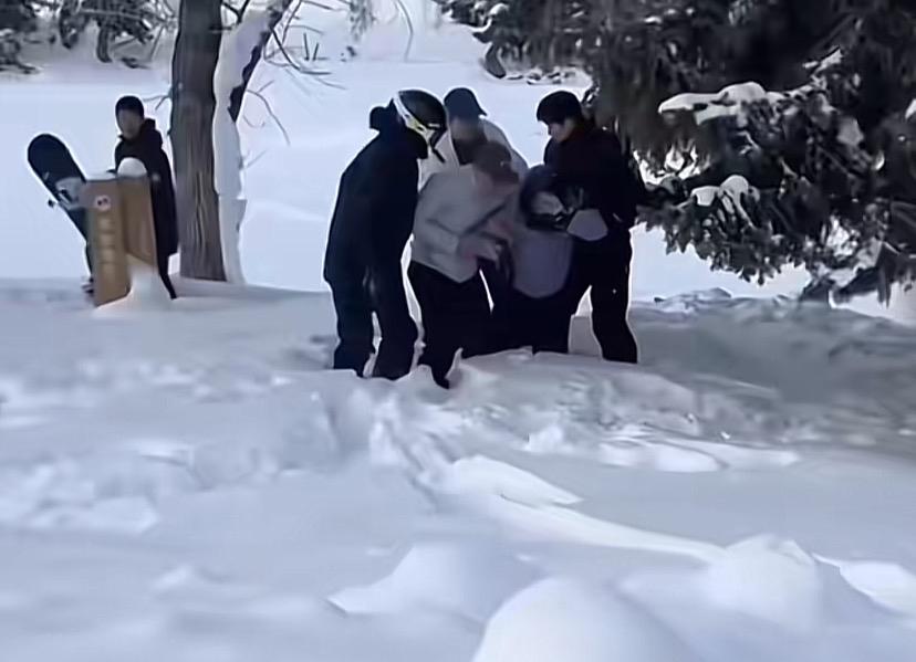 把雪豹当成小猫咪了吗？即便不是雪豹，这么大的一条狗，但凡有点脑子的人也不敢靠近吧