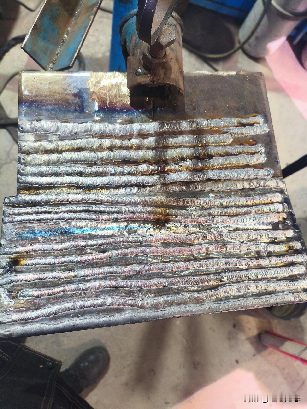 朋友们，昨天下午就来学校了。前天晚上坐亲戚的车到兰州，在亲戚家睡了一晚，昨天中午