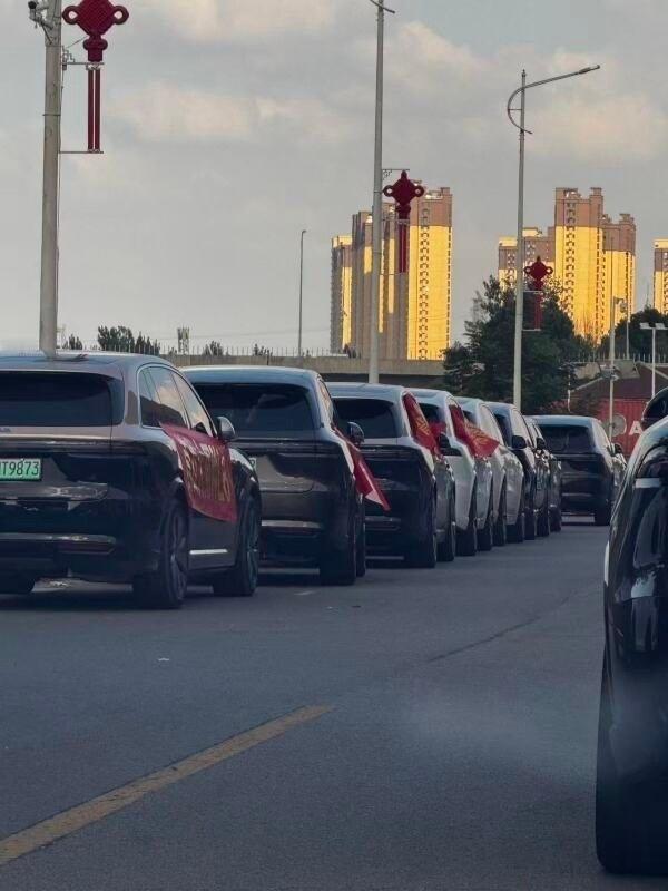 理想车主们，冷静点…​