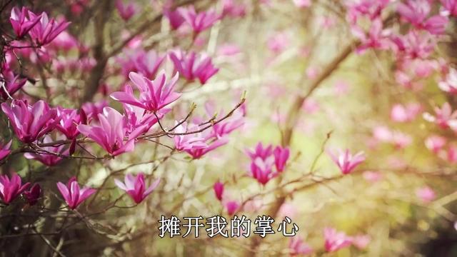 我想抱着你哭图片 40986 640x360