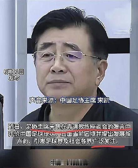 这次足协主席人都懵了足协主席原以为这次球迷的愤怒“波及”到了赞助商之后，危机