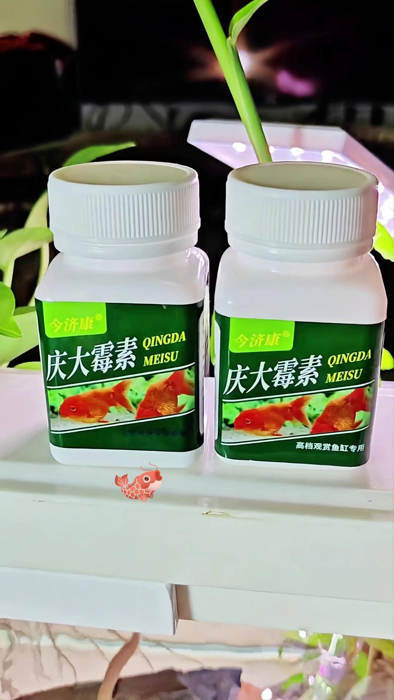 观赏鱼专用庆大霉素庆大霉素养鱼日记观赏鱼专用药新手养鱼