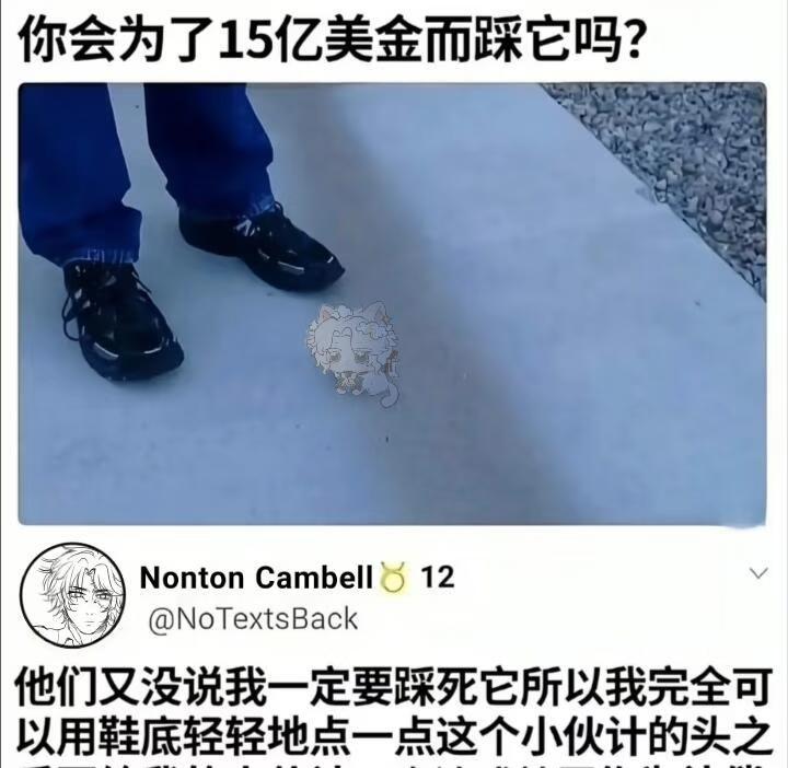 3️⃣5️⃣美金与毛咪兼得梗图and曲咪纯享版匿勘曲