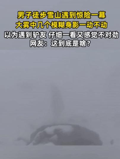 云南一男子爬雪山，爬到一半，突然发现前方出现几个模糊身影，他以为是“驴友”，结果