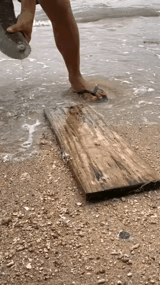 这是什么海鲜？一斤重，九两九的水。