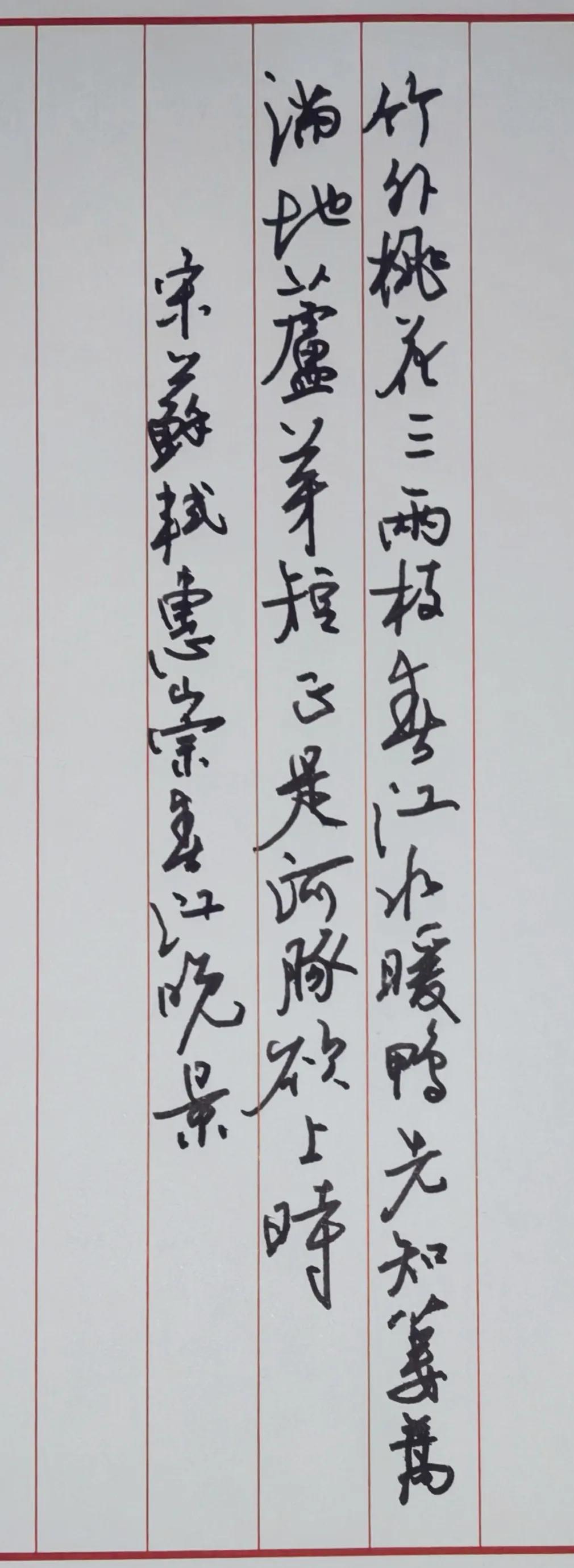 钢笔抄写古诗苏轼《惠崇春江晚景》竹外桃花三两枝，春江水暖鸭先知。蒌蒿满地