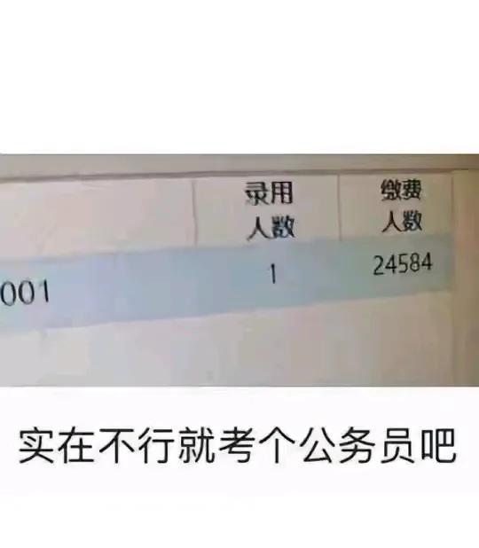 考公的竞争太大了。邻居说他小孩本来立下决心考公考编，可是，毕业全职考了三年，从
