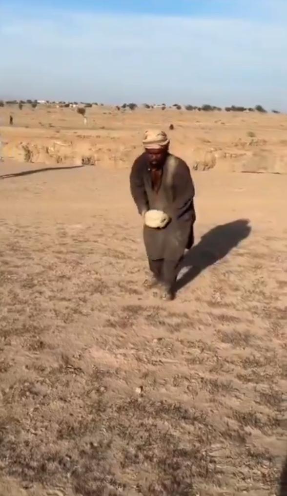 巴基斯坦猎人正在用手挖掘并用石头封堵的方式，将刺尾蜥蜴（学名：Saarahar