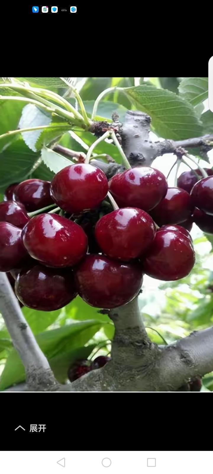 你认为农民重要吗？非常重要，没有农民，全国十几亿亩耕地由谁来耕种，全国十四亿人吃