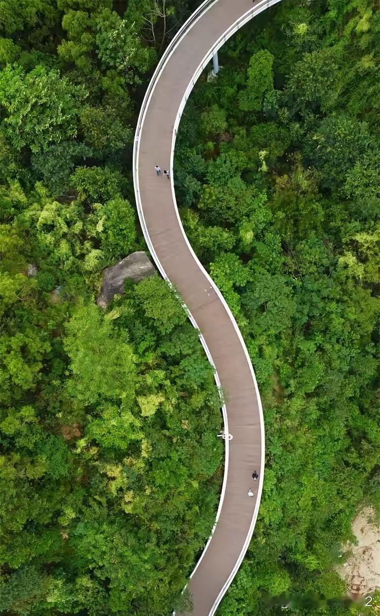 社会观察家说，多数中年男女在情感上都不干净。男人有本事就容易向外找女人。女人