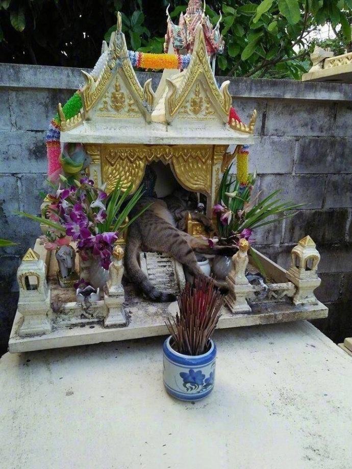 打算去拜神，到了之后……