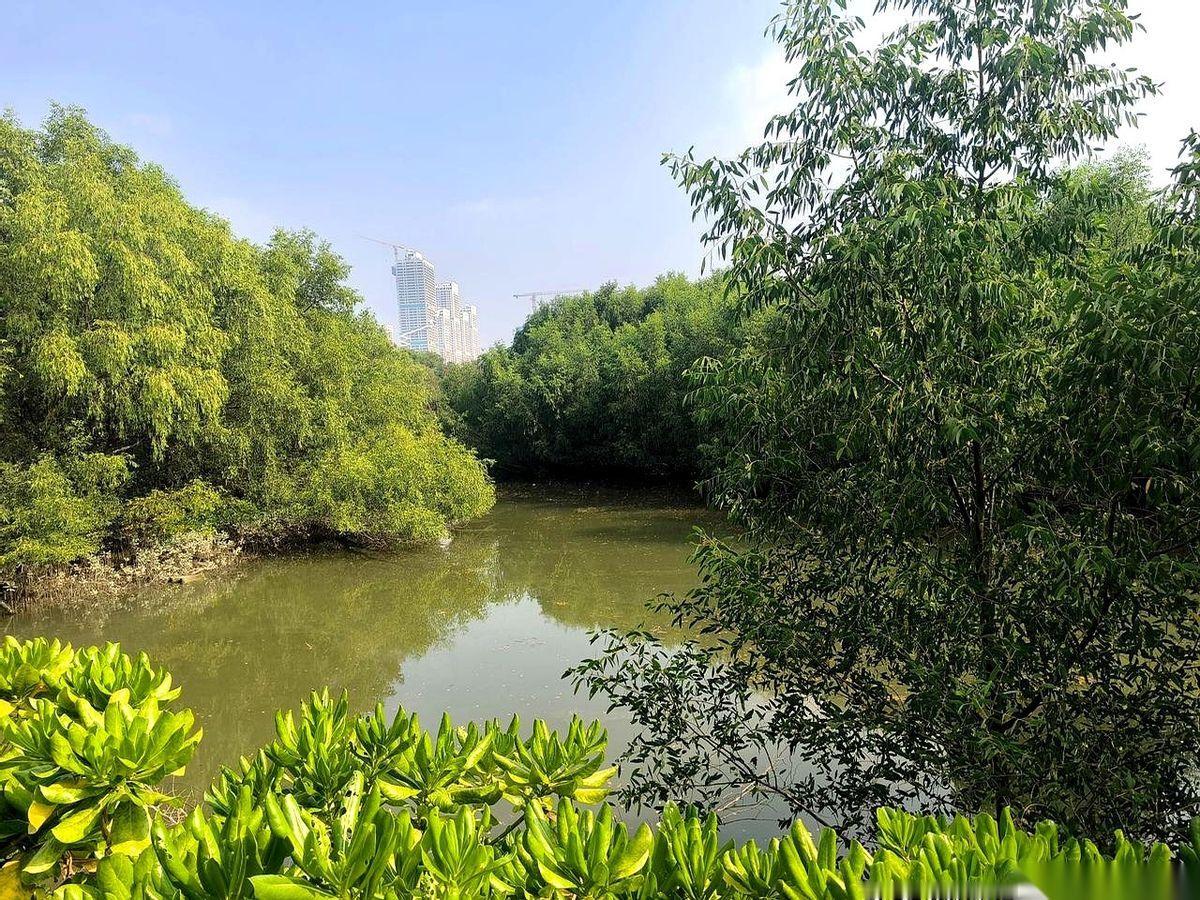 我妈今天一句话，把我老公十年的好，全给抹了。她说：“他做过好的吗？我都忘了。”