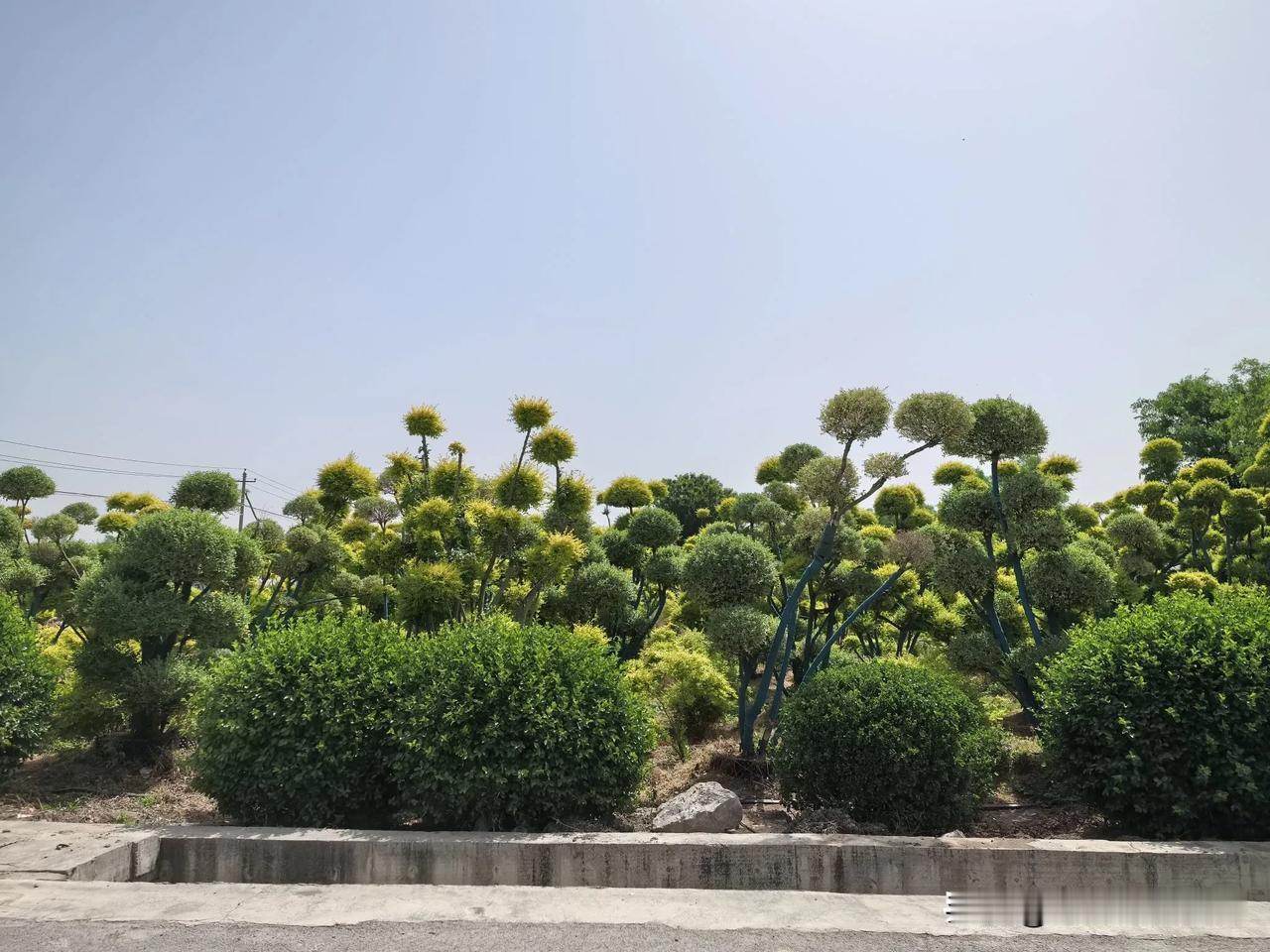 我和老公商量了一下，俩人一致同意放弃高速，走国道。边走边看沿途风景。可能和我们